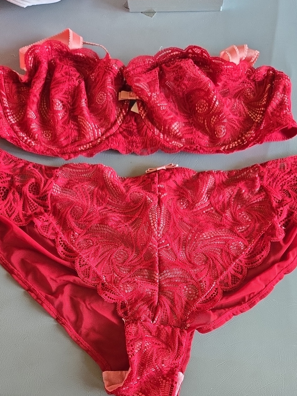 Adore Me Dark Red Lace Bra and Brief Set